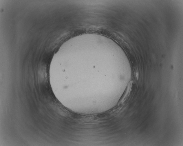 X0000081371252200702020156