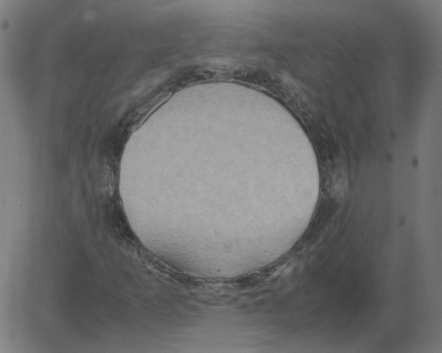 X0000081371253200702020156