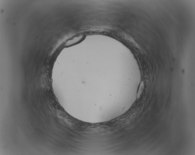 X0000081371256200702020156