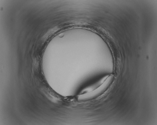 X0000081371257200702020156