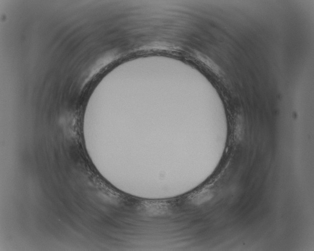 X0000081371258200702020156