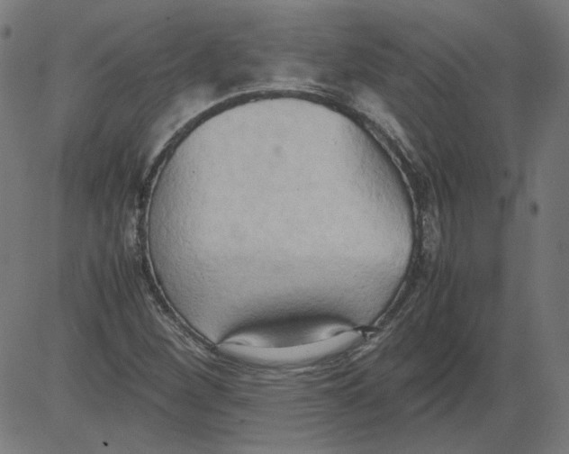 X0000081371260200702020156