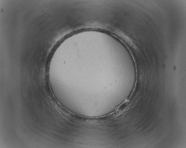 X0000081371264200702020156