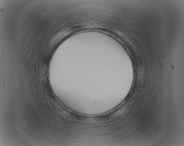 X0000081371265200702020156