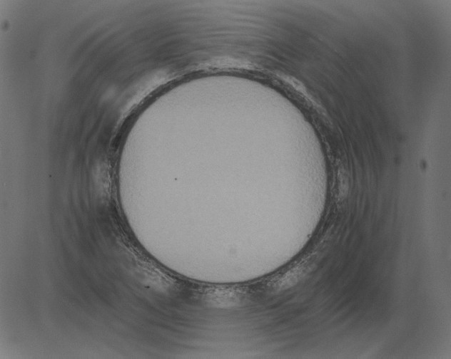 X0000081371266200702020156