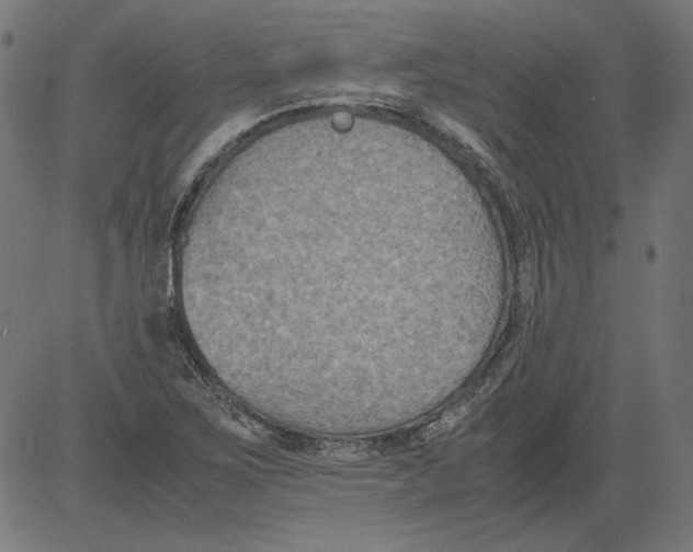 X0000081371267200702020156