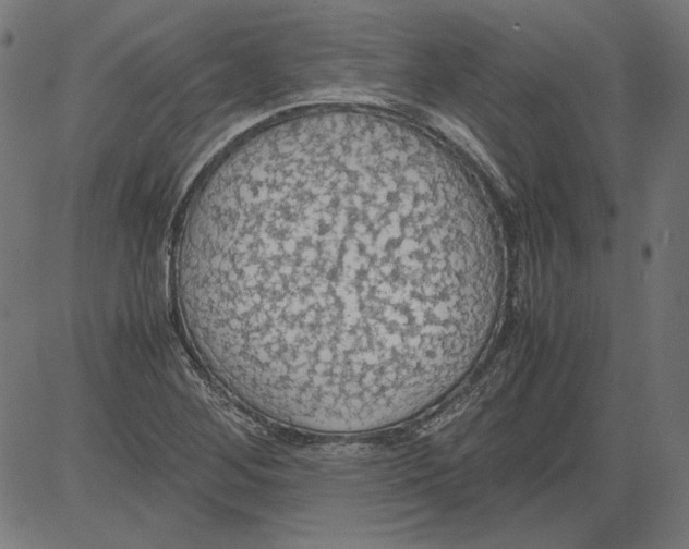 X0000081371268200702020156