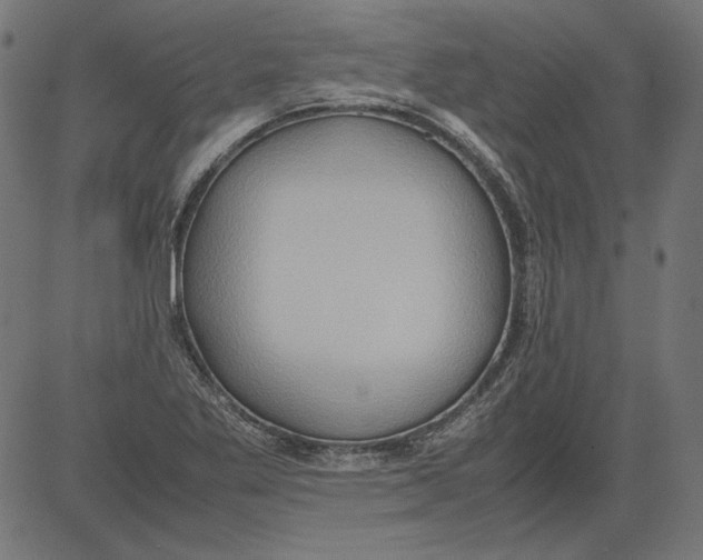 X0000081371269200702020156