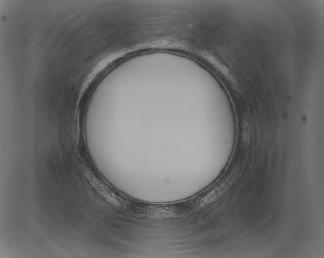 X0000081371270200702020156