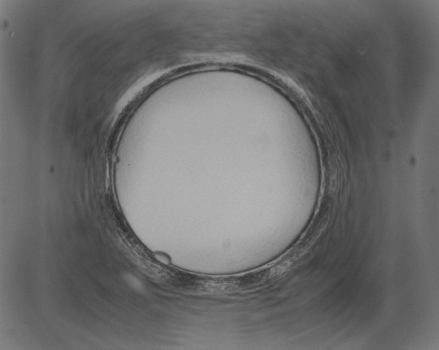 X0000081371271200702020156