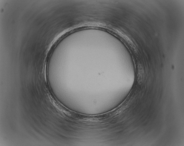 X0000081371272200702020156