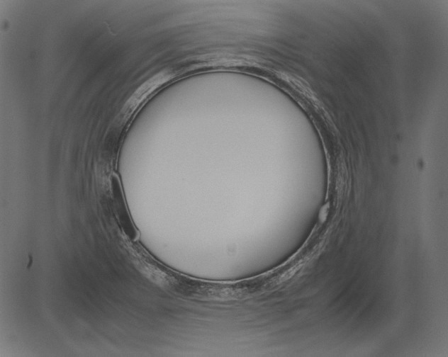 X0000081371273200702020156