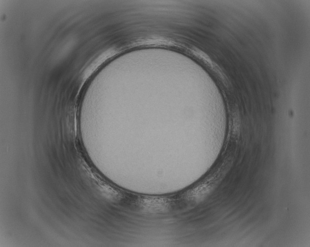 X0000081371274200702020156