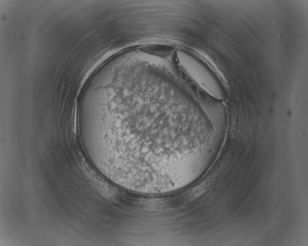 X0000081371276200702020156