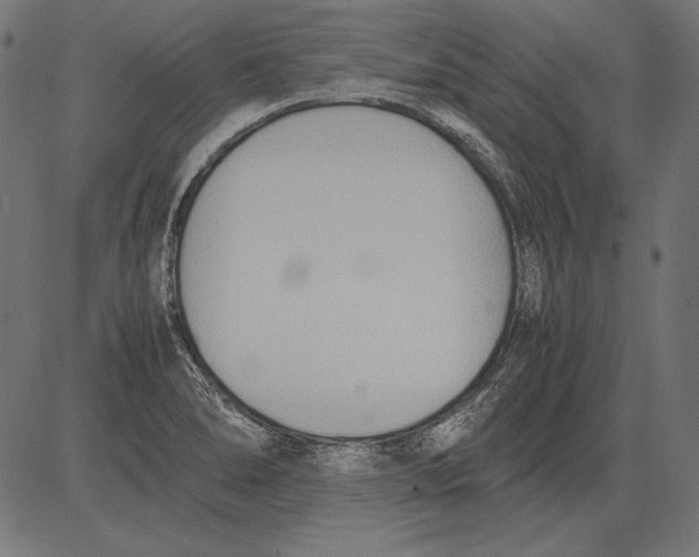 X0000081371278200702020156