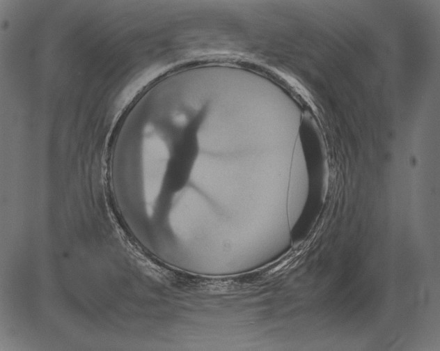 X0000081371279200702020156