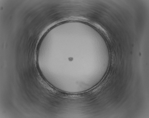 X0000081371280200702020156