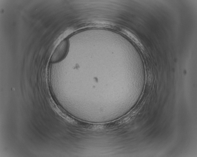 X0000081371283200702020156