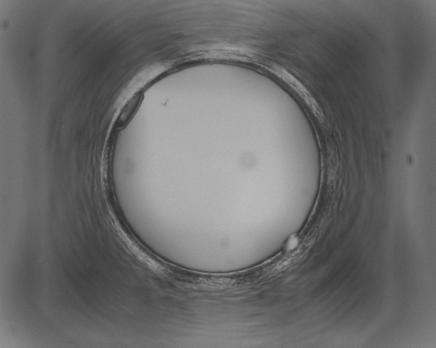 X0000081371285200702020156