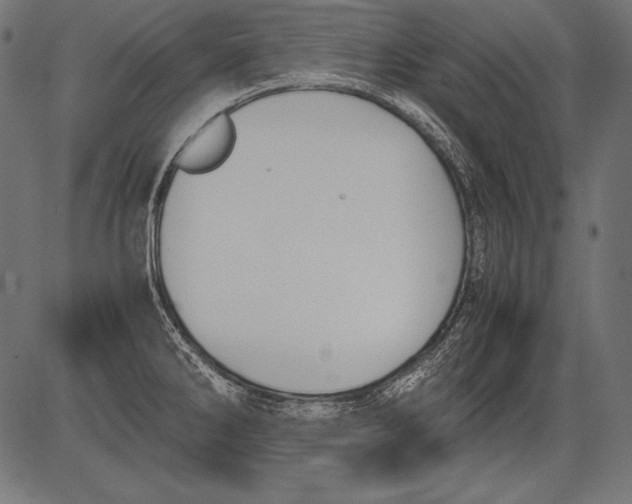 X0000081371286200702020156