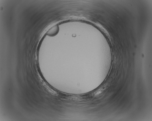 X0000081371287200702020156