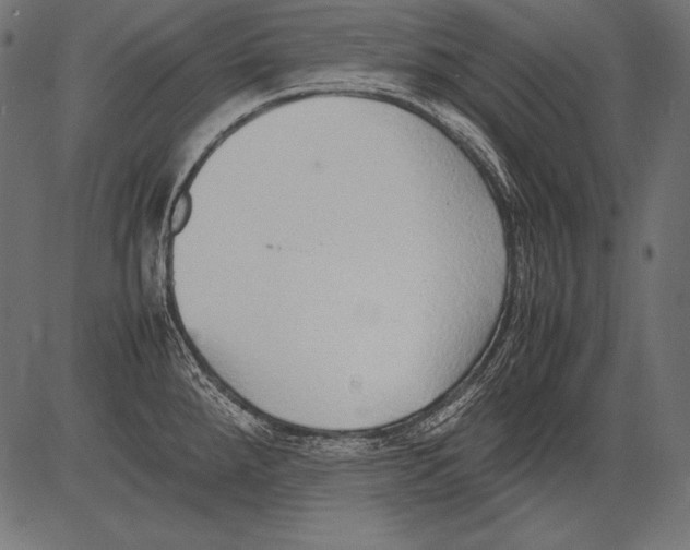 X0000081371288200702020156