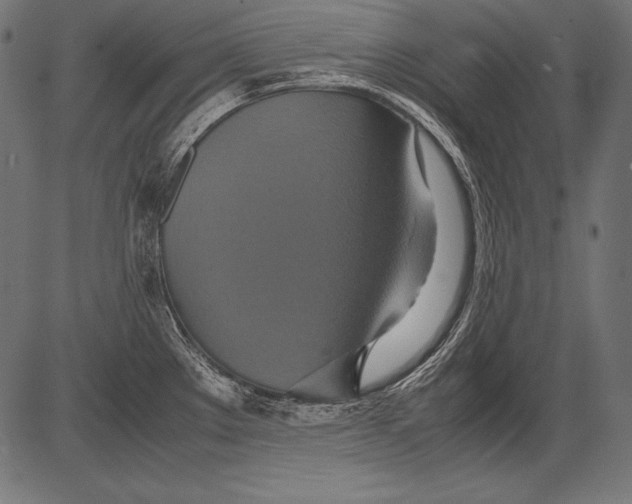 X0000081371289200702020156