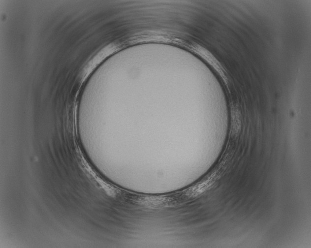 X0000081371290200702020156