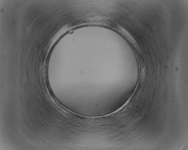 X0000081371291200702020156