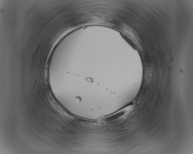 X0000081371292200702020156