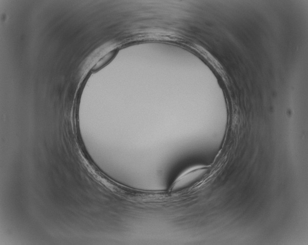 X0000081371293200702020156