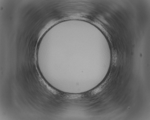 X0000081371294200702020156