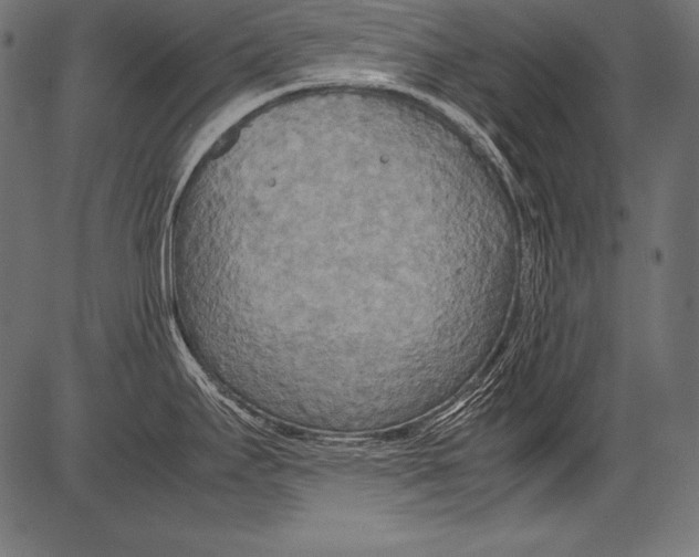 X0000081371295200702020156