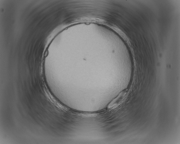 X0000081371296200702020156