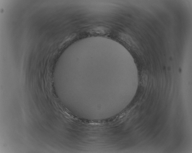 X0000081371297200702020155