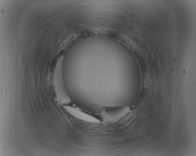 X0000081371298200702020155