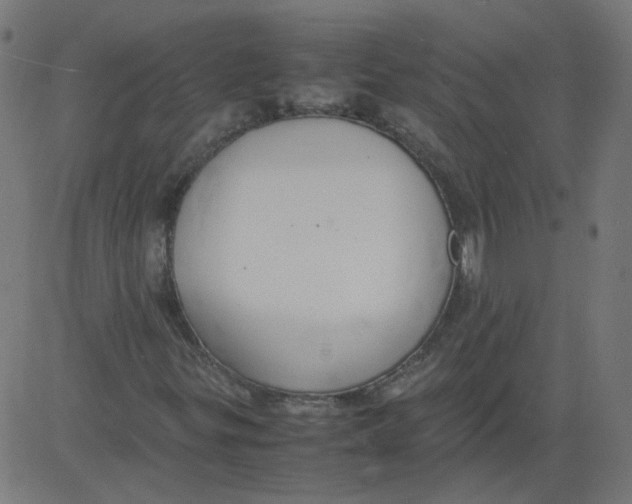 X0000081371299200702020155