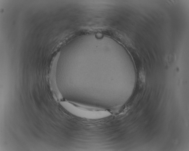 X0000081371300200702020155