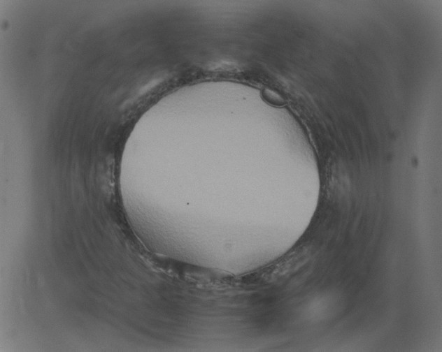 X0000081371301200702020155