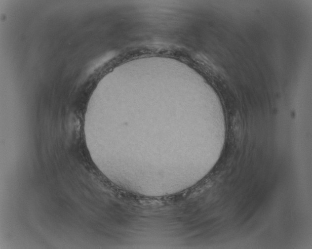 X0000081371302200702020155