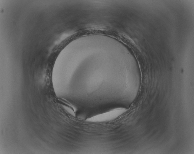 X0000081371303200702020155