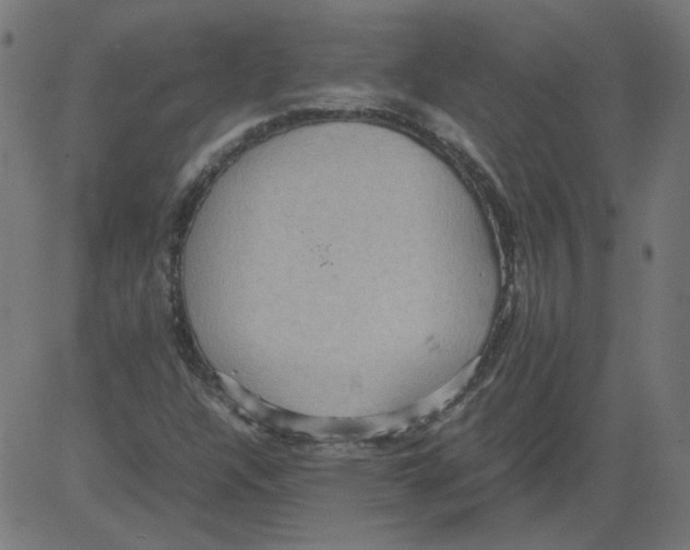 X0000081371304200702020155