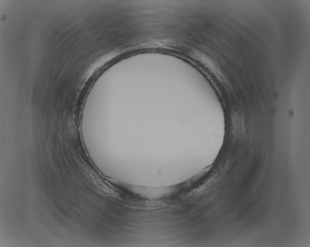 X0000081371308200702020155