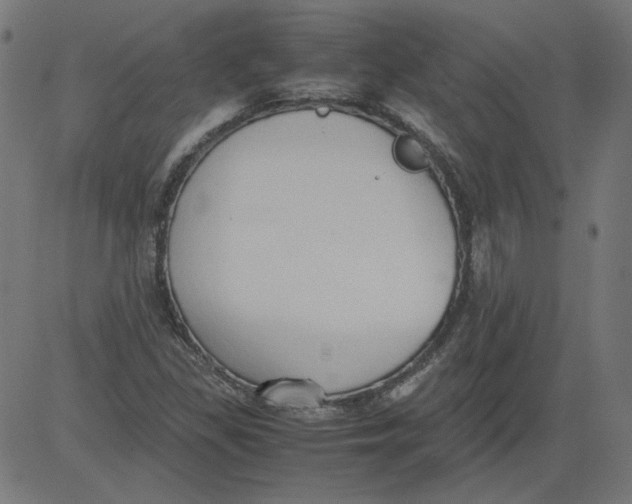 X0000081371309200702020155