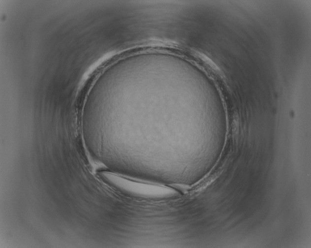 X0000081371310200702020155