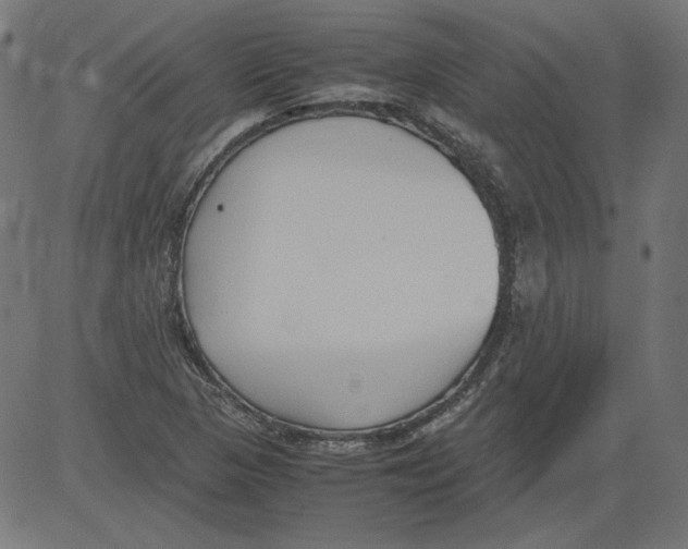 X0000081371313200702020155