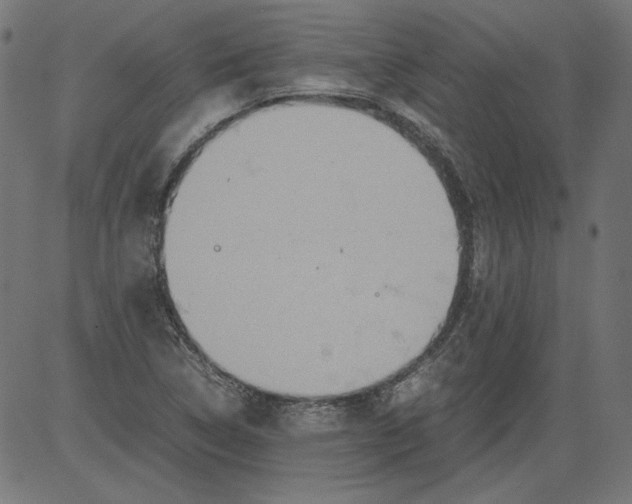 X0000081371314200702020155