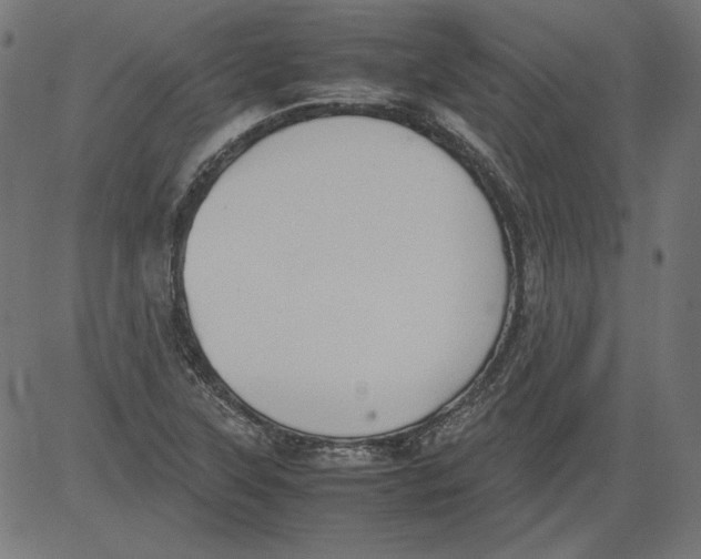 X0000081371315200702020155