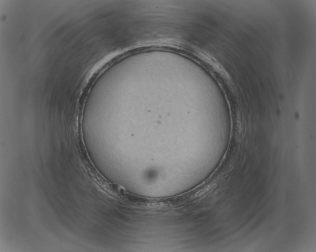 X0000081371316200702020155