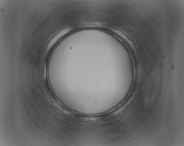 X0000081371317200702020155